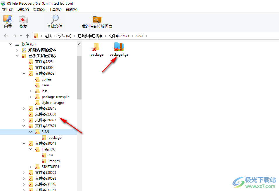 RS File Recovery(数据恢复软件)