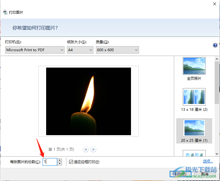 Microsoft Office Picture Manager打印图片的方法