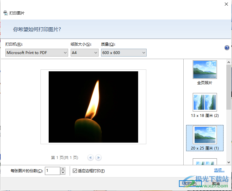 Microsoft Office Picture Manager打印图片的方法