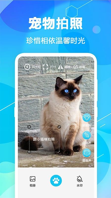 猫语翻译pet最新版(2)