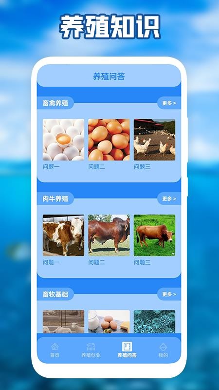 养猪场之星电子版(2)