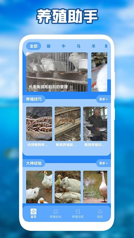 养猪场之星电子版(1)