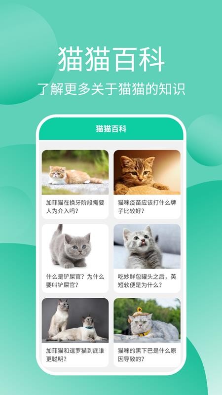 猫猫交流工具最新版(2)
