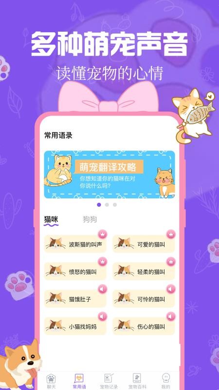 趣味动物翻译器最新版(3)