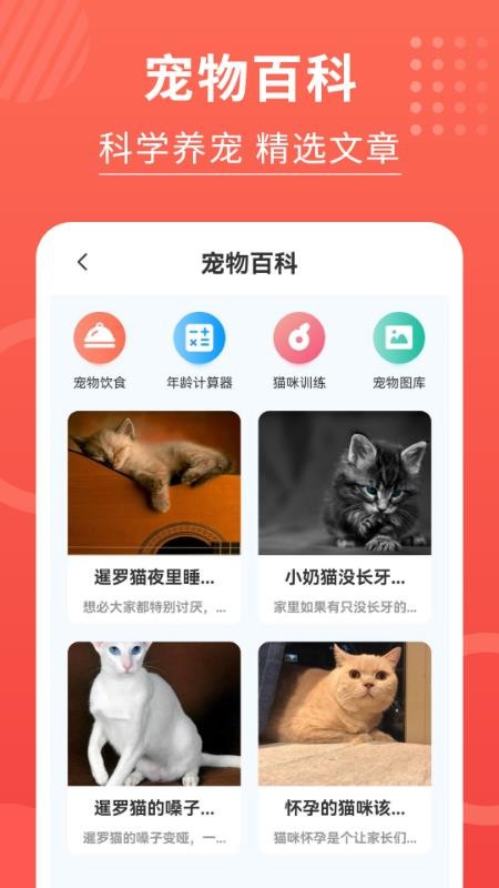 猫猫翻译器软件手机版