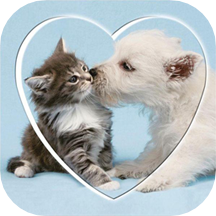 猫语狗语交流器app v23.11.27安卓版