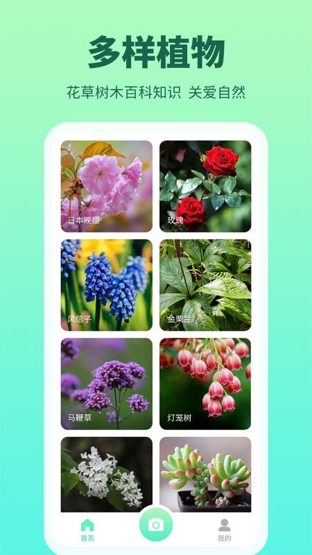 花多多app(3)