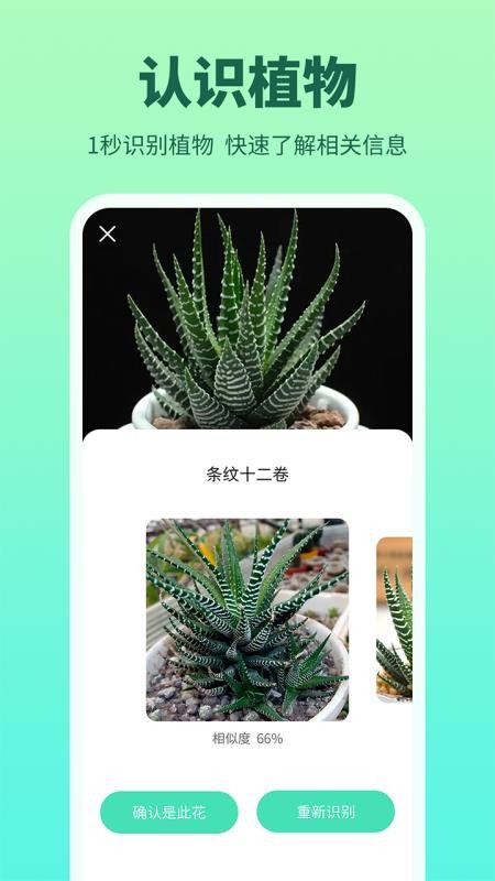花多多app(4)