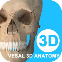 维萨里3D解剖免费版 v6.2.1安卓版
