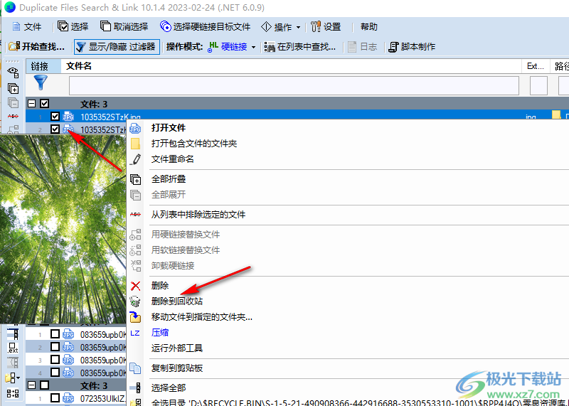 Duplicate Files Search&Link中文绿色版