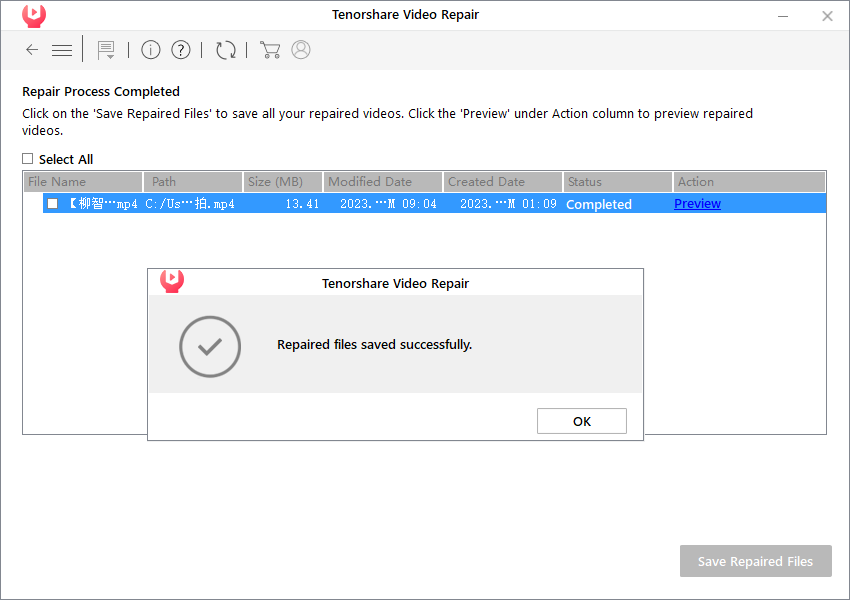 tenorshare video repair(视频修复)(1)