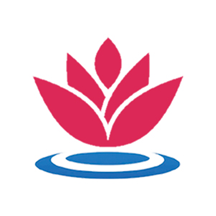 环球中荷app