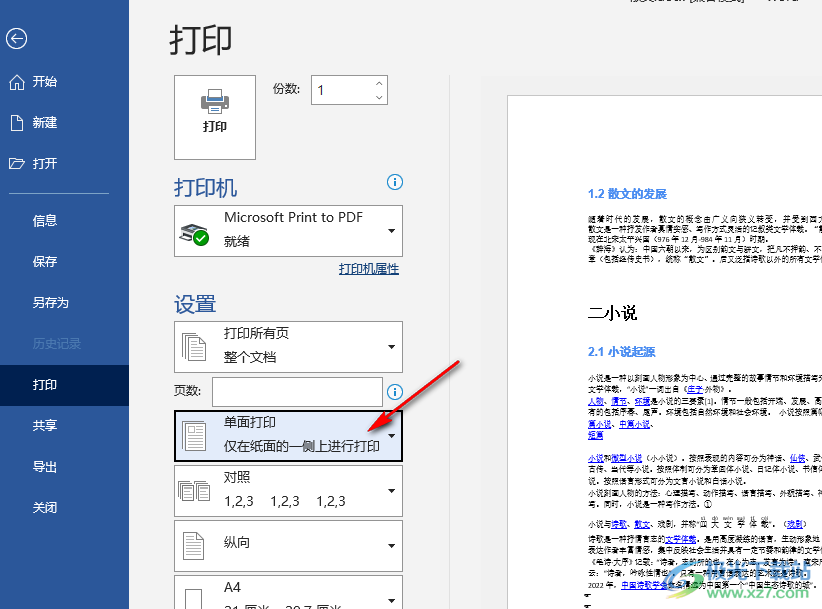 Word设置双面打印的方法