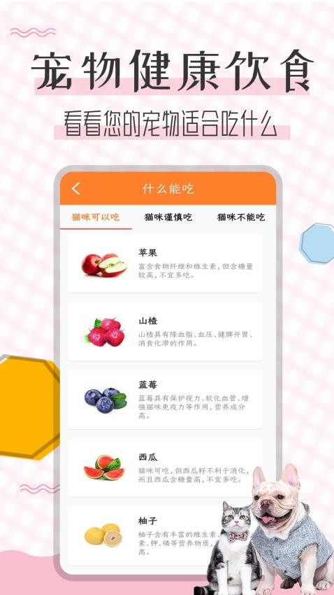 猫语翻译宝APP(4)