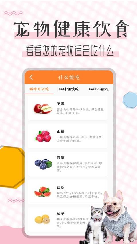 猫语翻译宝APPv1.2.4(4)