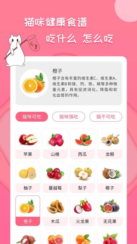 人猫翻译神器手机版(2)
