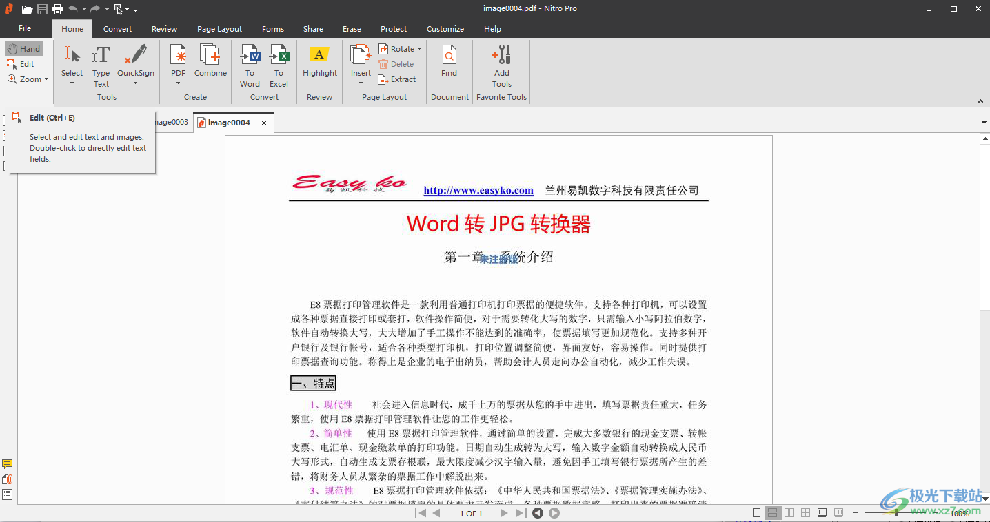 Nitro Pro Enterprise(PDF编辑器)