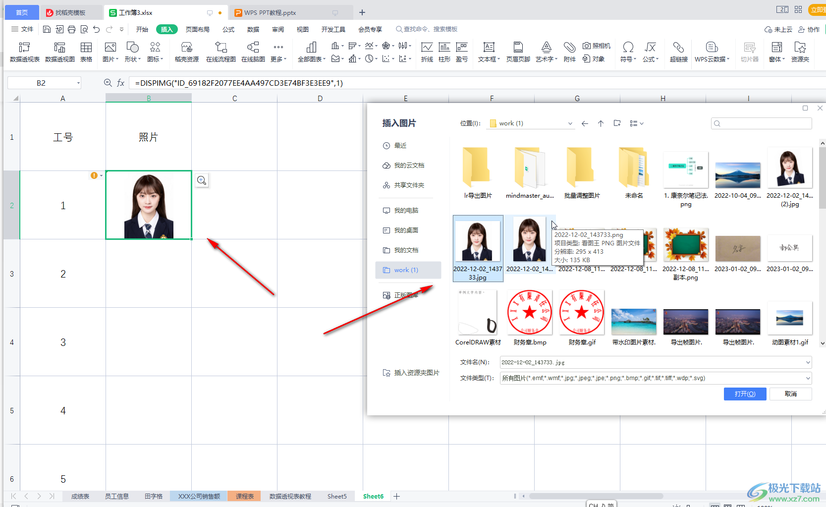 Excel中怎么设置图片自动适应表格大小-Excel表格中设置图片自动适应表格大小的方法教程 - 极光下载站