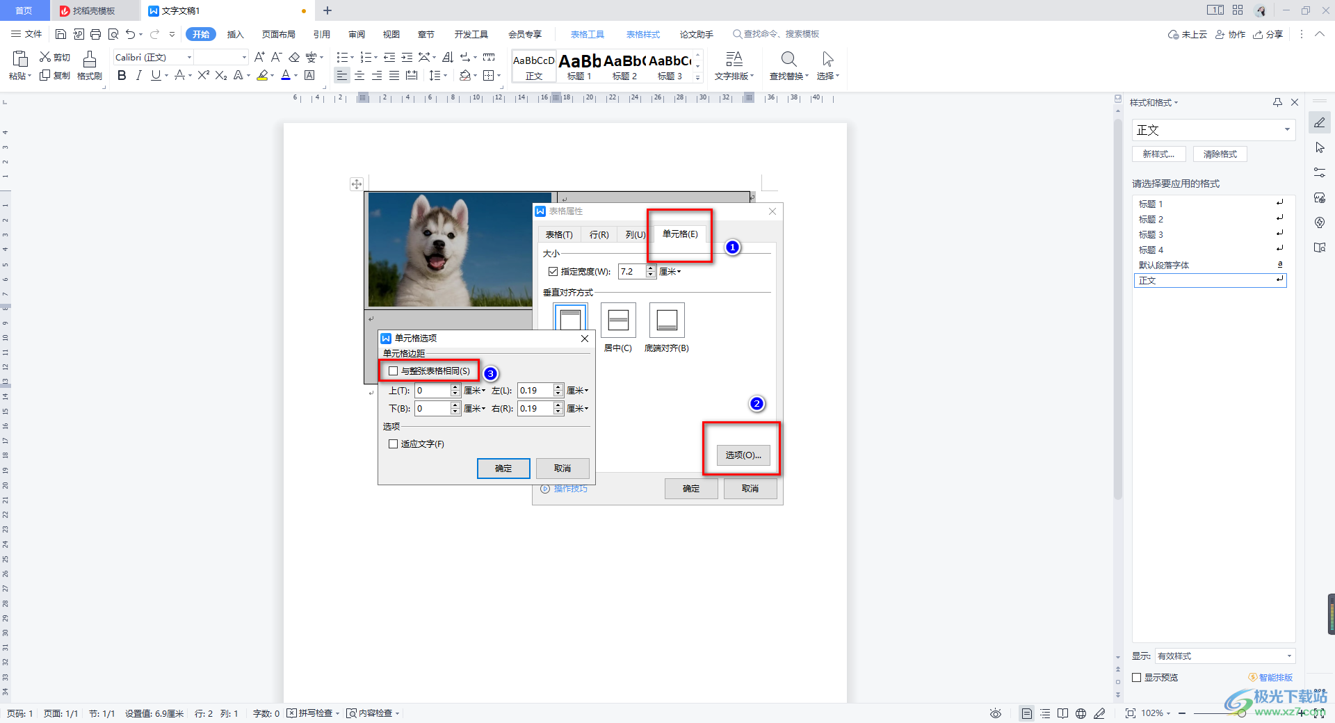 WPS Excel中插入图片怎么自适应大小-WPS表格设置插入图片自动调整大小的方法教程 - 极光下载站