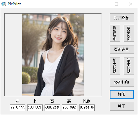 PicPrint(图片排版打印工具)(1)