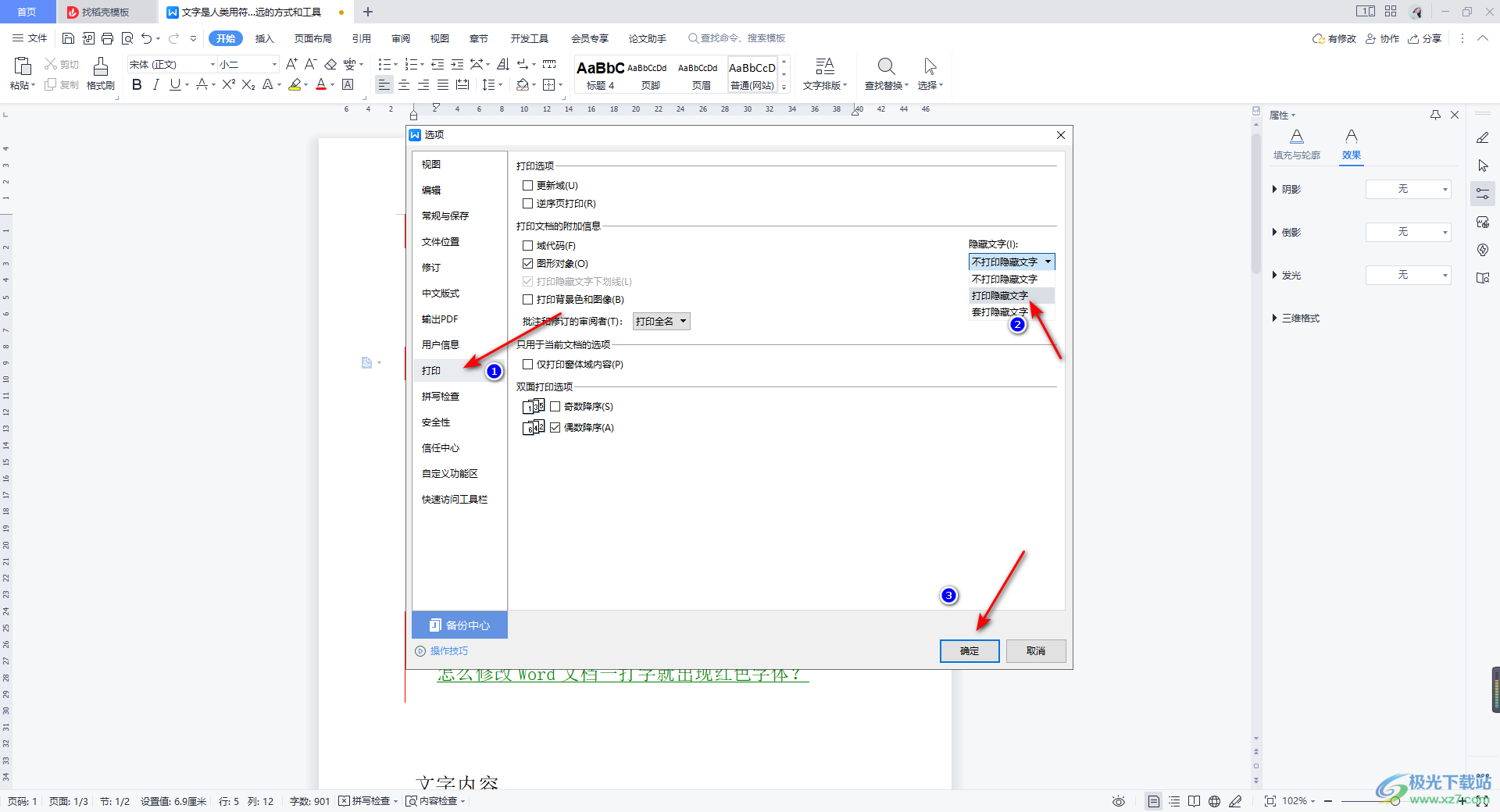 WPS Word文档隐藏文字怎么打印出来？-WPS Word打印隐藏文字的方法 - 极光下载站