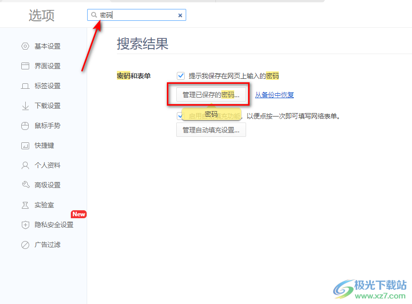 360极速浏览器查看保存的账号密码的方法