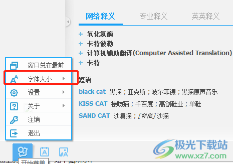 ​电脑版有道词典设置字体大小的教程