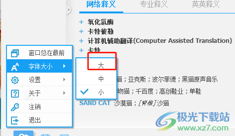 ​电脑版有道词典设置字体大小的教程