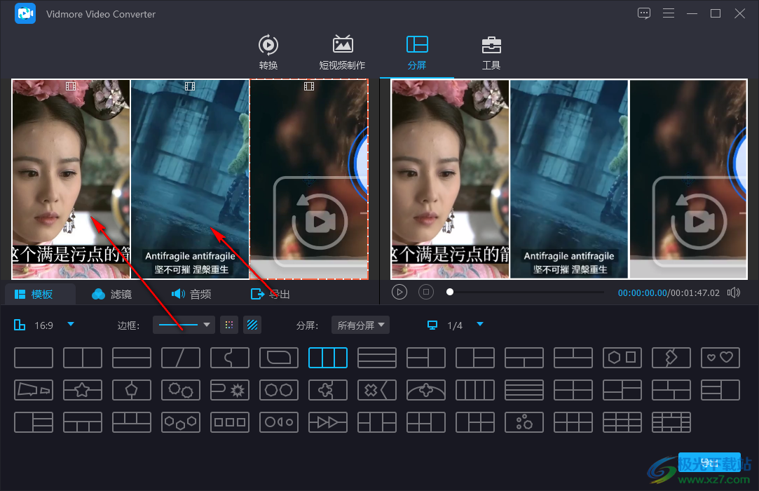 Vidmore Video Converter(视频格式转换器)