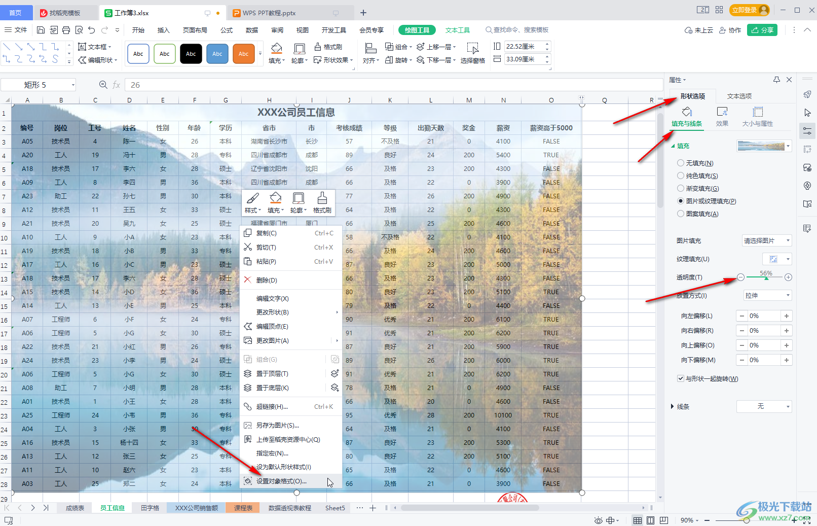 WPS表格中添加图片背景的方法教程