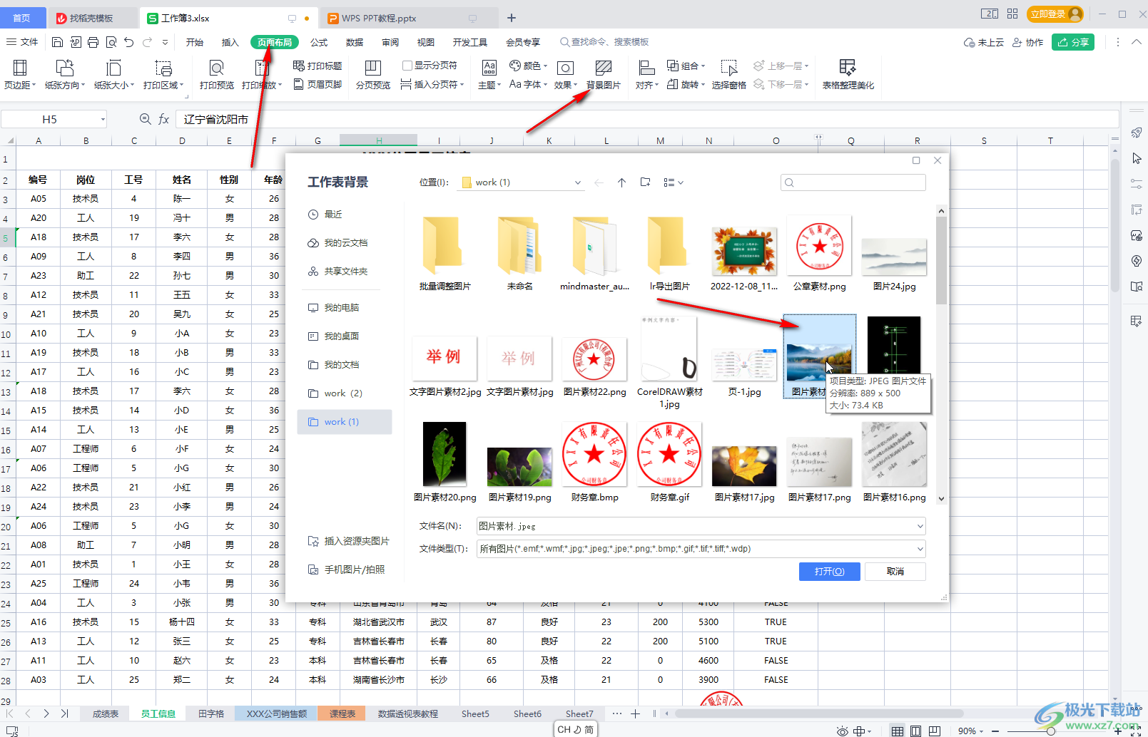 WPS表格中添加图片背景的方法教程