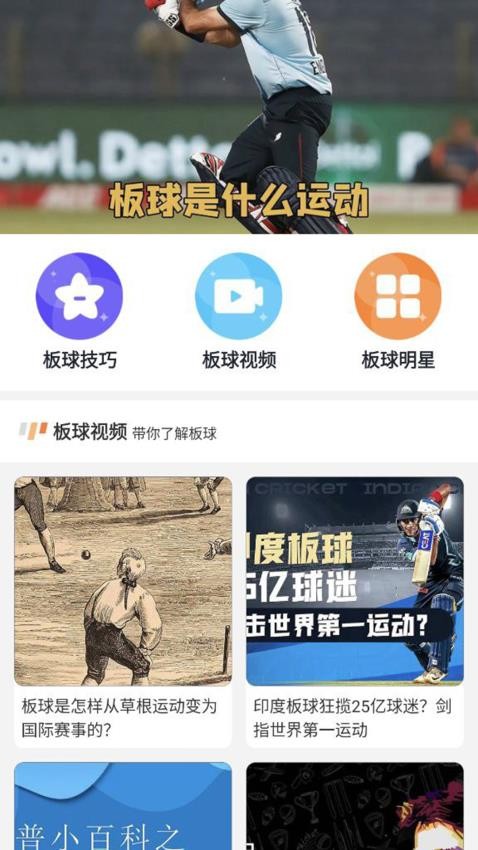 板球明星最新版(4)