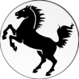 黑馬超級遠程桌面 v6.0.6 官方版