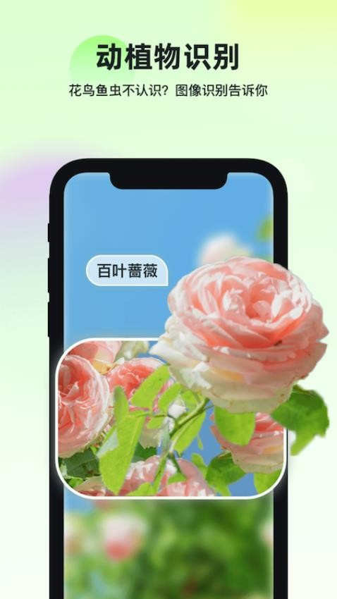 智能识万物app(3)
