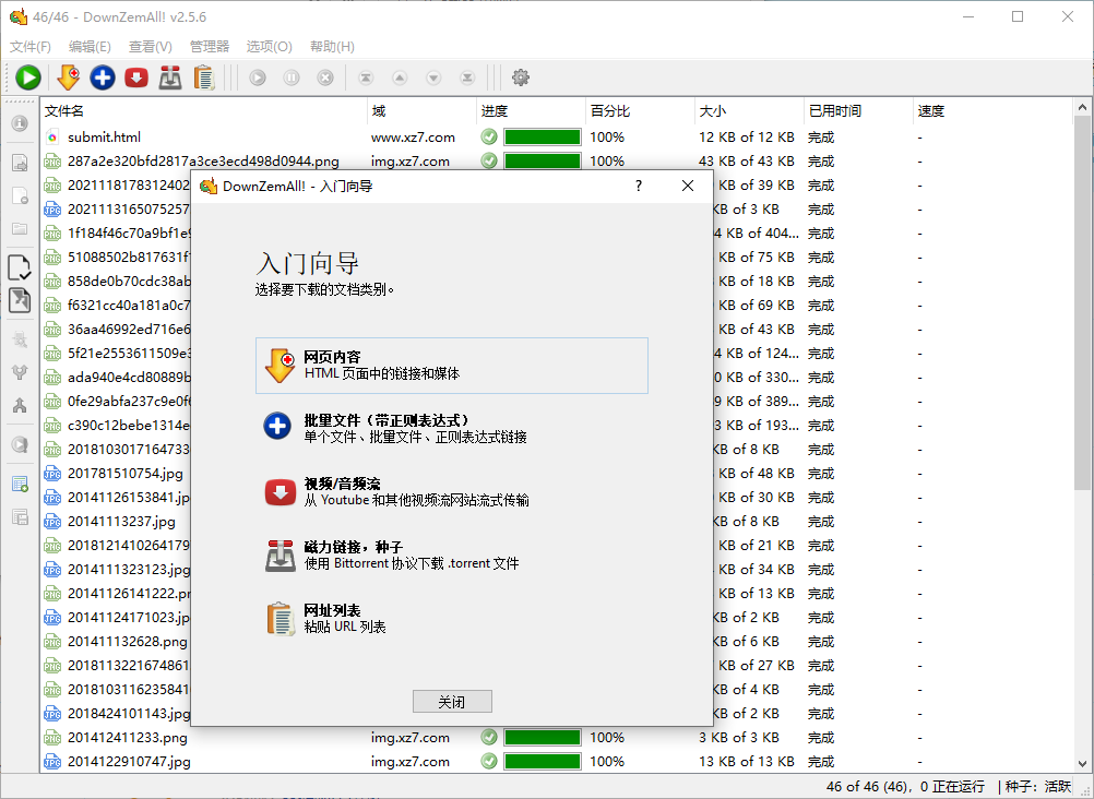 DownZemAll!(视频文件下载工具)(1)