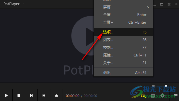 PotPlayer开启H/W硬件处理图像属性的方法