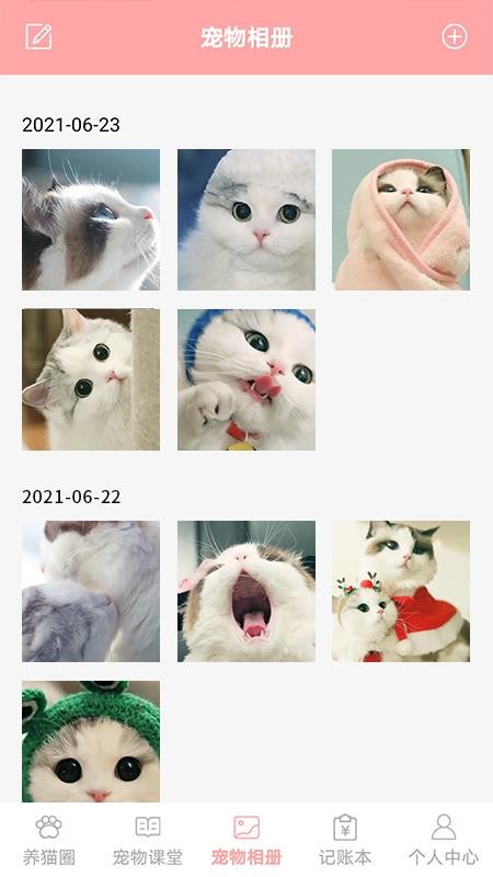 遇见我的猫正版(1)