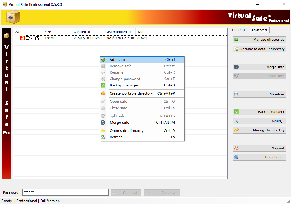 Virtual Safe Professional(文件加密工具)(1)
