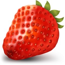 草莓文件加密器 v2.0 最新版