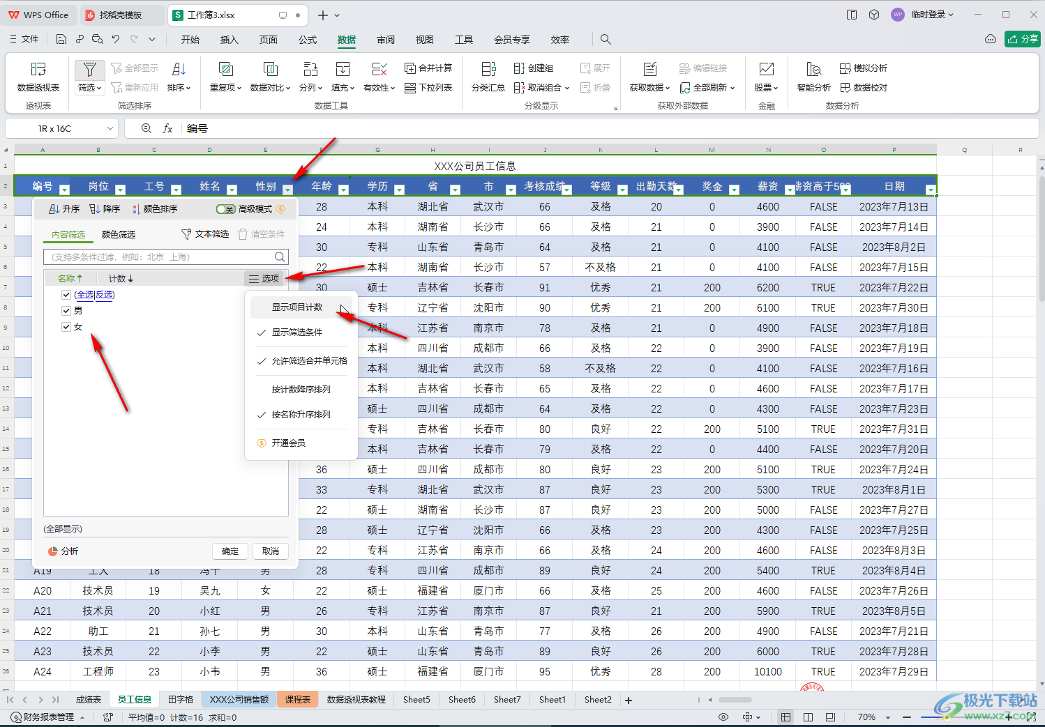 WPS表格电脑版筛选时显示计数信息的方法教程