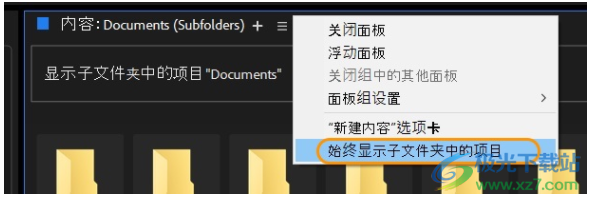 adobe bridge 2019中文版