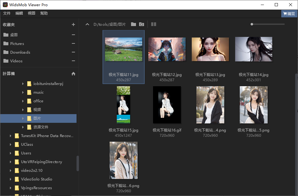 WidsMob Viewer Pro(图像查看器)(1)