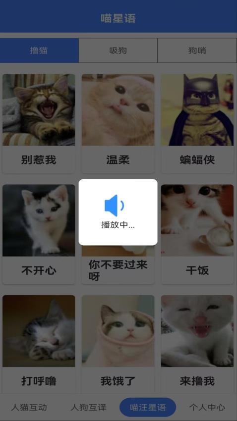 萌趣猫狗翻译器安卓版(2)