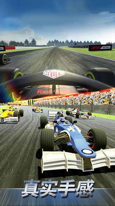 F1赛车模拟3D(5)