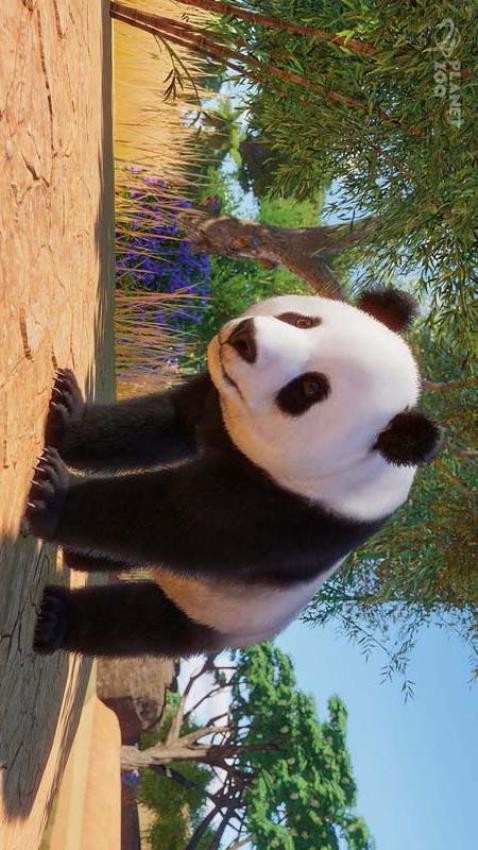 宠物成精啦(5)