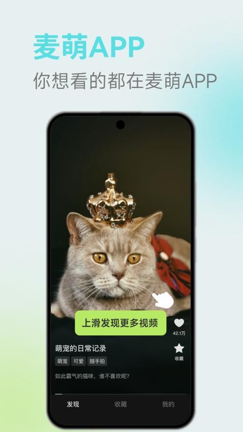 麦萌app