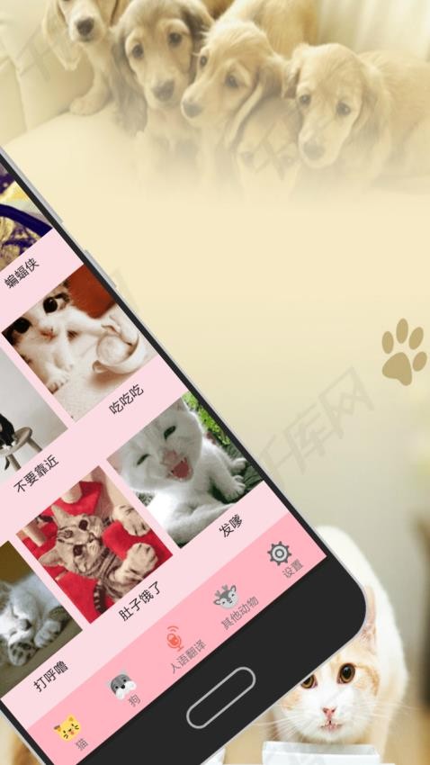 人猫狗交流器app(3)