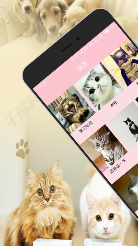 人猫狗交流器app