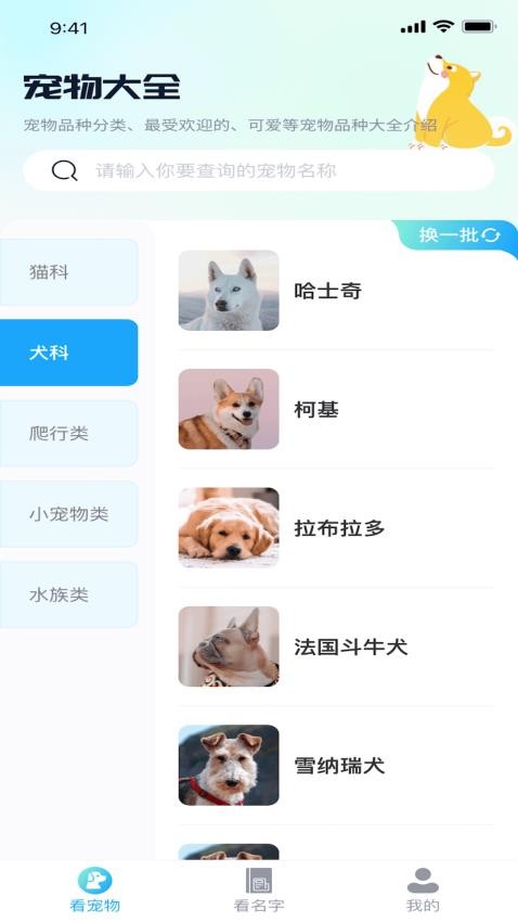 熊猫爱看App(3)