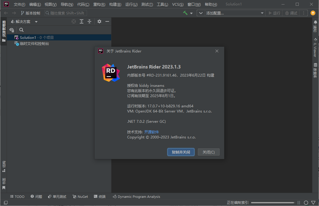 JetBrains Rider2023汉化补丁(1)